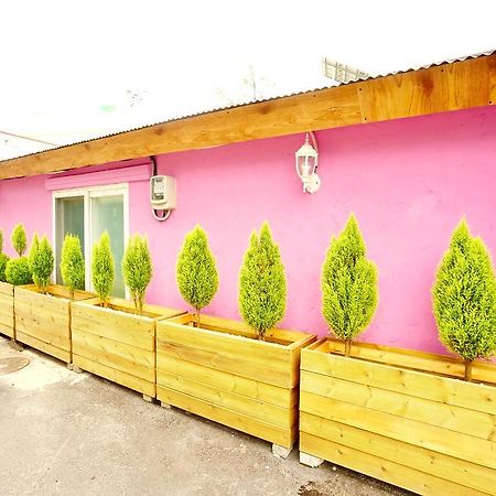 Little Haenyeo Villa Jeju Exterior photo