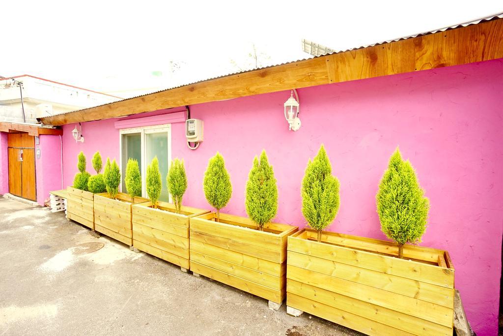 Little Haenyeo Villa Jeju Exterior photo