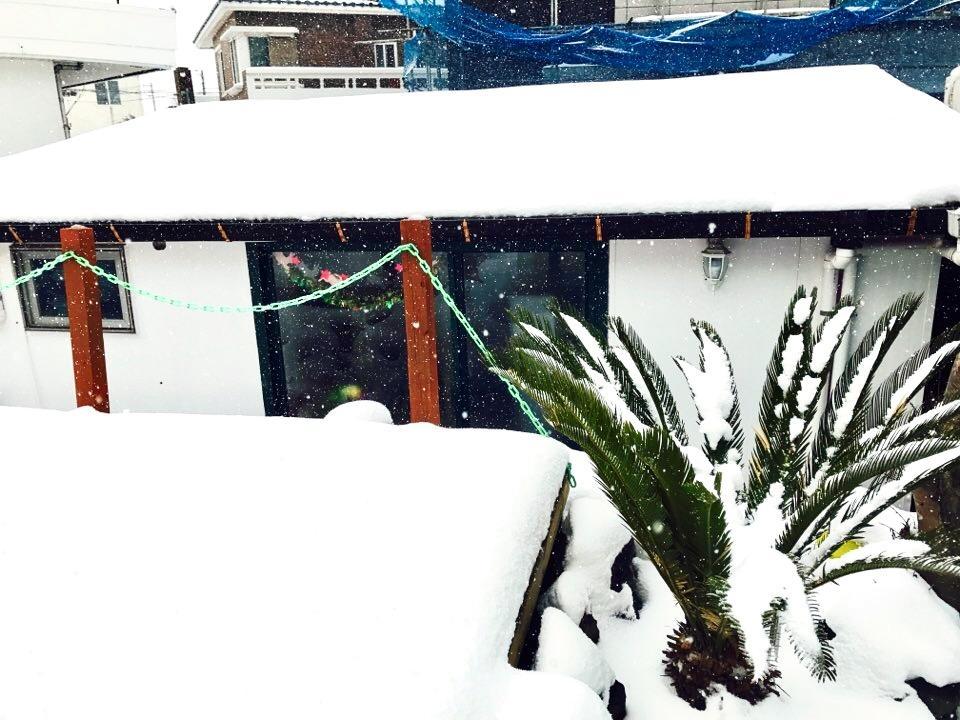 Little Haenyeo Villa Jeju Exterior photo